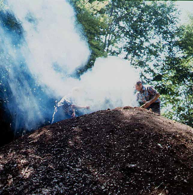  Image name: 35 Carbonai.jpg 
 width: 643 pixel 
 height: 649 pixel 
 Size: 75490 bytes 
 Click to enlarge 